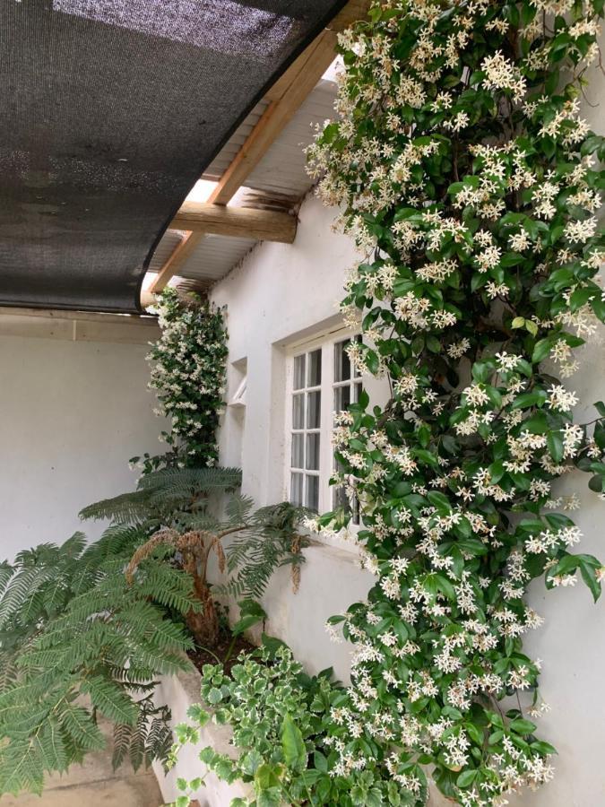 Shabach Farm Villa Hartebeesrivier Ngoại thất bức ảnh